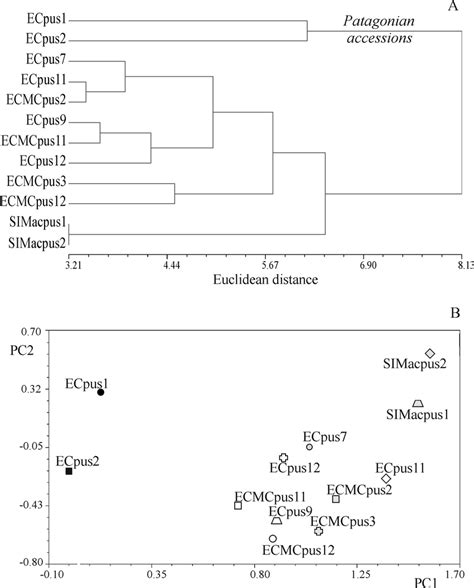 Analysis Of 30 Morphological Characters Based On Mean Values In 12 Download Scientific Diagram