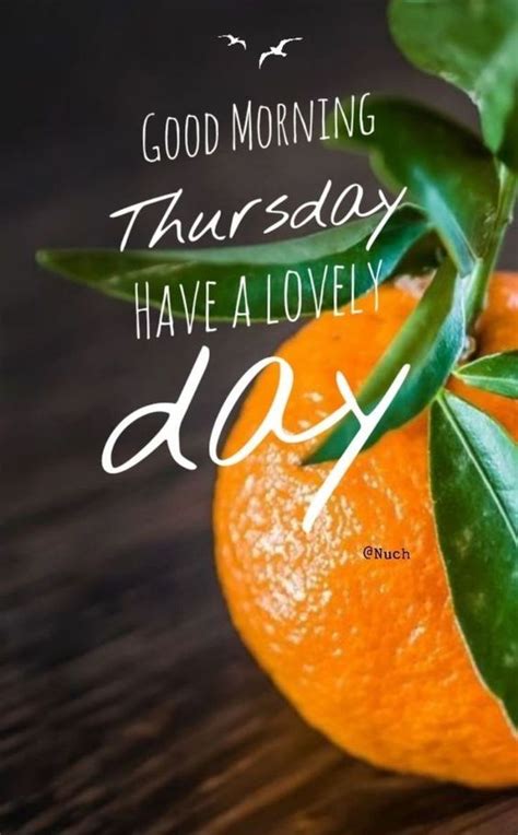 100 Happy Tuesday Images And Sayings Dreams Quote