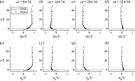 Comparison Of Dns And Measured Vertical Profiles Of Ensemble Averaged