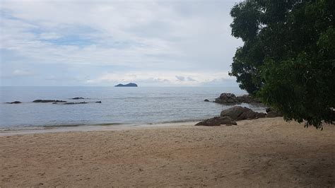 How Researchers In Penang Are Growing Oysters Naturally