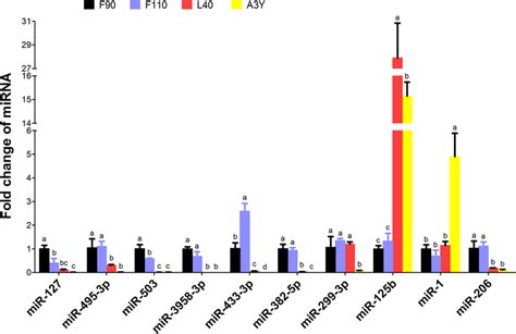 Mir Scientific Reports X Mol