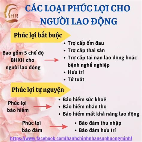 Các loại phúc lợi theo luật cần có Blog quản trị Nhân sự