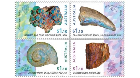 The Wonderful World Of Opalised Fossils Australia Post