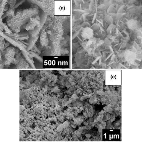 The SEM Micrograph Of Eu Bi Oxide Calcined A B And Sintered C For