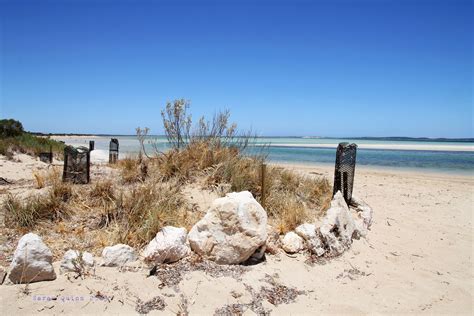 Discovering The Eyre Peninsula