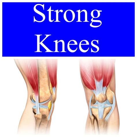 Dr Stacie Dpt Cscs Usaw Frc On Instagram Strong Knees Do Your