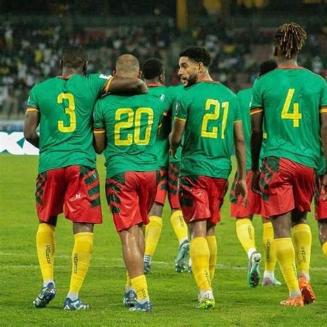 Actualités CAMEROUN Héritage des Lions L appel à l ADN indomptable