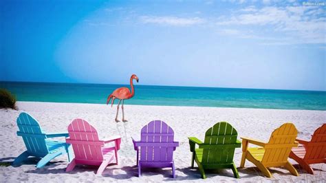 Flamingo Beach Wallpapers - Top Free Flamingo Beach Backgrounds ...