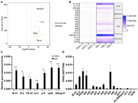 Transcriptome Profiles Of Baculovirus Early And Late Expressed Genes In Download Scientific