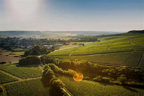 Cité des Climats et vins de Bourgogne