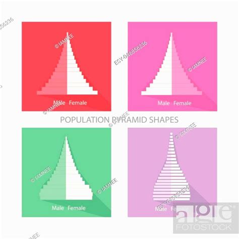 Population And Demography Illustration Of Different Types Of Population Pyramids Chart Or Age