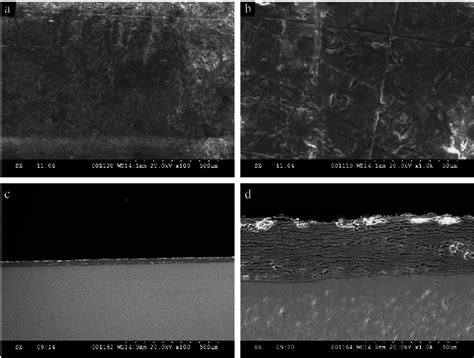 Surface Sem Images A B And Cross Sectional Sem Images C D Of The