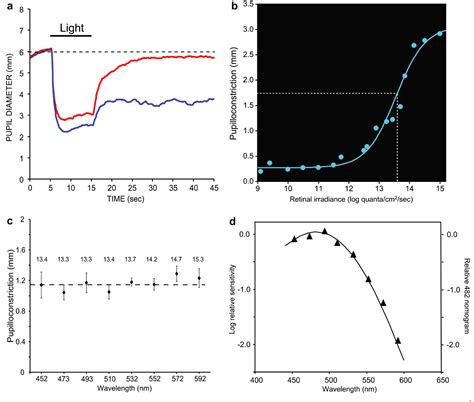 Figure 4 From Human And Macaque Pupil Responses Driven By Melanopsin