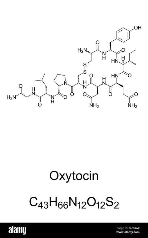 Oxytocin Structure Black And White Stock Photos Images Alamy