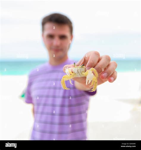 Close Up Of Man S Hand Holding Crab Stock Photo Alamy