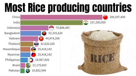 Most Rice Producing Countries 1961 2020 Top Rice Producing Countries Youtube