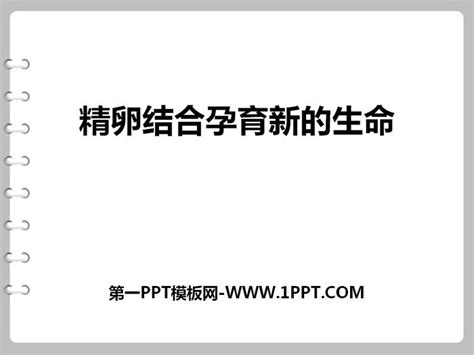 《精卵结合孕育新的生命》ppt 第一ppt