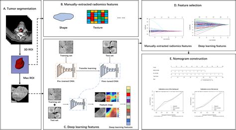 A Ct Based Deep Learning Radiomics Nomogram To Predict Histological Grades Of Head And Neck