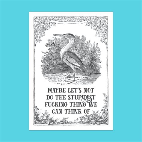 Effin' Birds on Twitter | Bird book, Postcard book, Art quotes