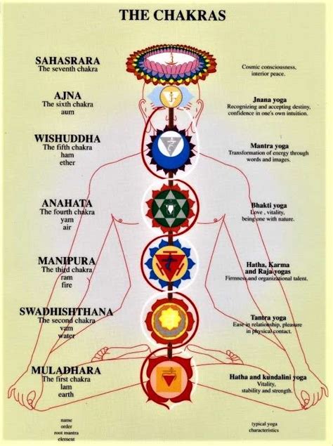 Yoga Chakras Explained In English