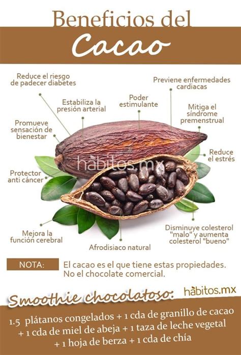 H Bitos Health Coaching Los Beneficios Del Cacao Cacao Benefits