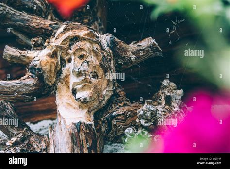 Face Of Jesus Christ Roughly Carved In A Tree Stock Photo Alamy