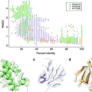 Example Of Sequence And Structure Divergence In Three Protein Families