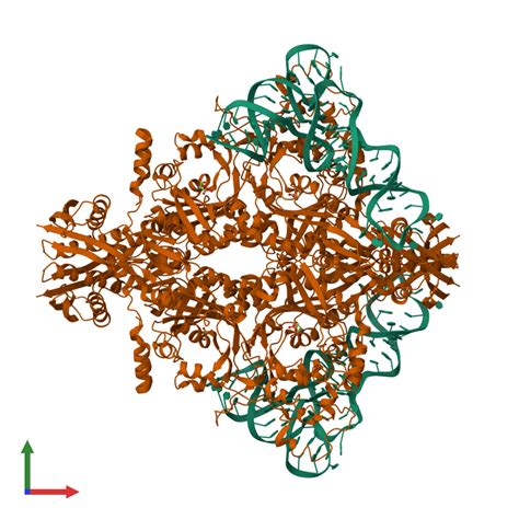 Pdb Du Gallery Protein Data Bank In Europe Pdbe Embl Ebi