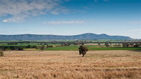 Services | Weddin Shire Council