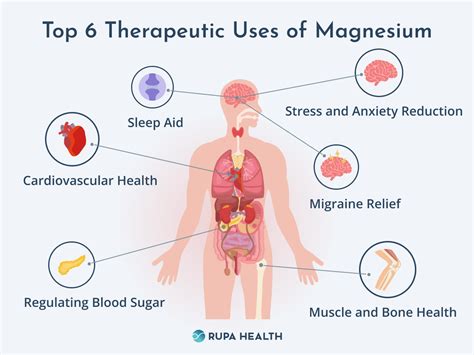 The Top 6 Essential Health Benefits Of Magnesium That You Should Know