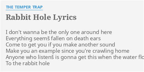 Rabbit Hole Lyrics By The Temper Trap I Dont Wanna Be