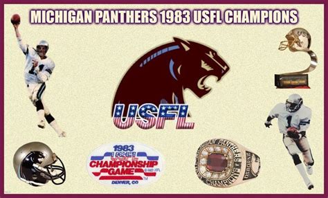 Michigan Panthers Usfl Champions Champion Usa Championship Game