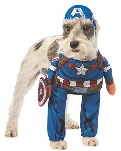 Marvel Dog Costume | The Best Marvel Costumes for Your Dog