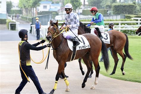 【札幌1r】武豊「乗り味が良い」アンテロースが初勝利 競馬ニュースなら競馬のおはなし