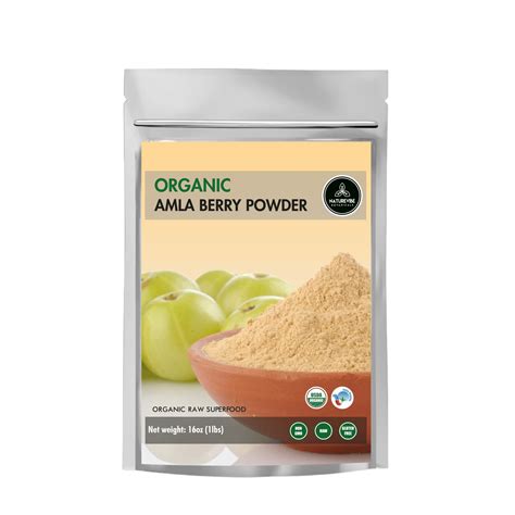 Amazon Amla Berry Powder Lb By Naturevibe Botanicals Organic