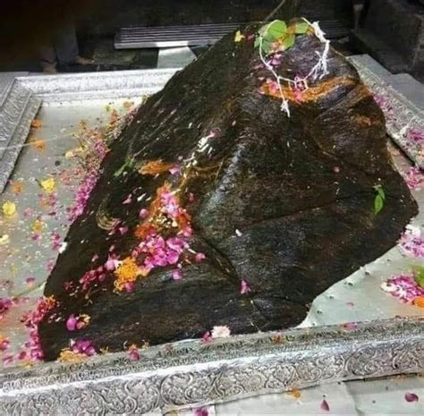 Jyotir lingams les douze lingams de lumière MAGIK INDIA Lord shiva