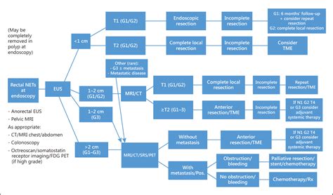 Figure 1 From Enets Consensus Guidelines Update For Colorectal