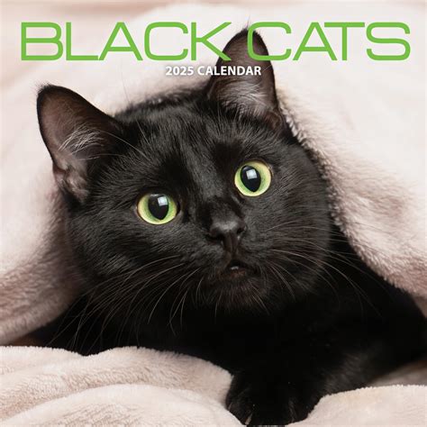 Black Cat 2025 Calendar : Amazon.co.uk: Stationery & Office Supplies