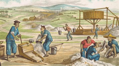 Chinese Immigrants S Mining