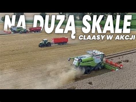 Niwa Pszenicy Na Kombajny X Claas Lexion John Deere