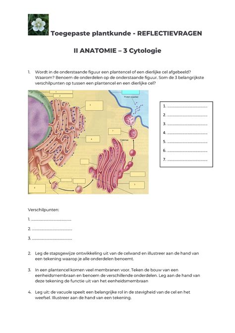 Tpk Reflectievragen Oefenvragen Plantkunde Toegepaste Plantkunde