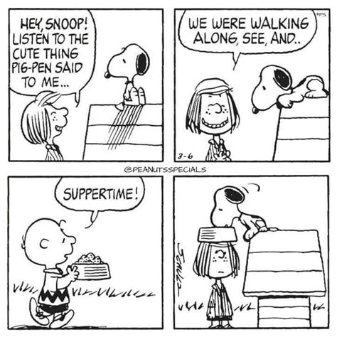 Pin By Susan Stewart On Snoopy And The Gang 5 Snoopy Funny