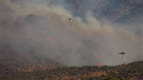 Incendio forestal con alta intensidad y rápida propagación afecta al