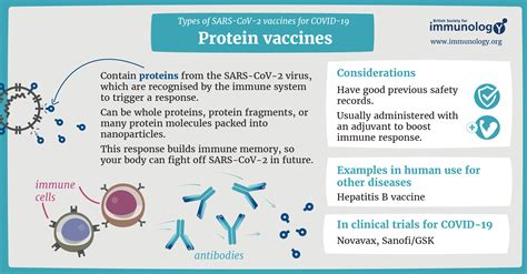 Types Of Vaccines For Covid 19 British Society For Immunology