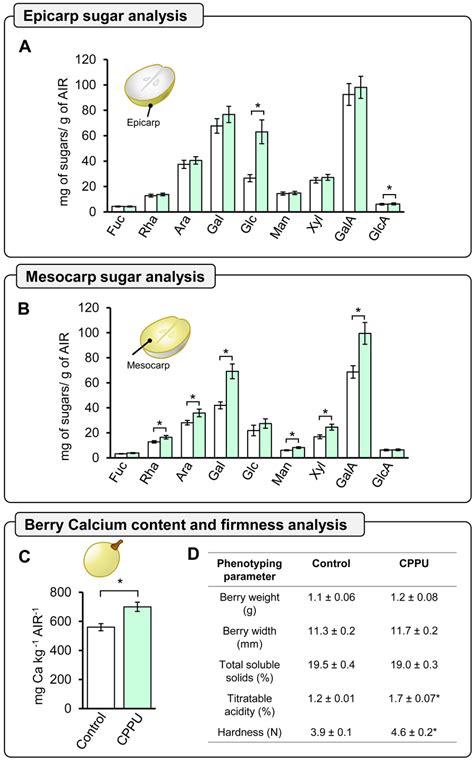 Cppu Treatment Increases Berry Firmness Associated With Changes In