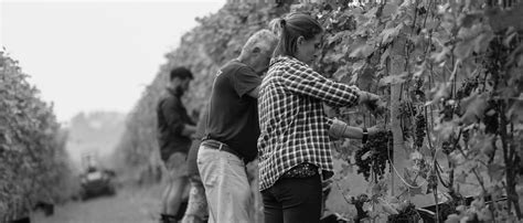 Ca Del Baio And Its Vineyards In Treiso And Barbaresco