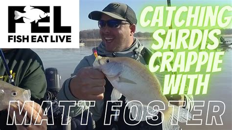 Matt Foster Catching Sardis Crappie Fish Eat Live Youtube