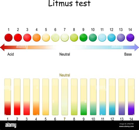 Litmus paper experiment Stock Vector Images - Alamy