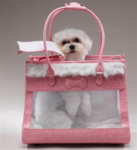 Small Dog Pet Carrier And Carrier Purses For Life And Style