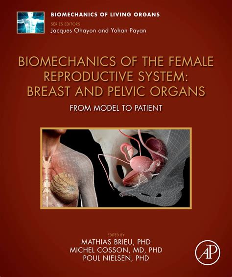 Biomechanics Of The Female Reproductive System Breast And Pelvic